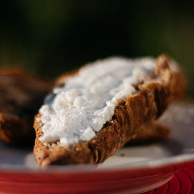 YOGAN Vegandelphia - Plain Organic Cream Cheese