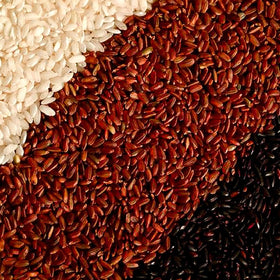 Seggiano Organic Wild Red Rice 500g