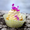 Schlagfix Schlagcreme Sweetened Whipping Cream 1L