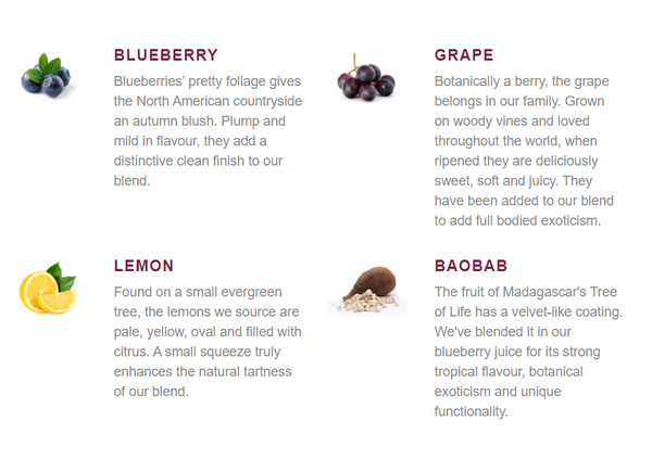 The Berry Company - Blueberry, Grape & Baobab Juice Blend 1L