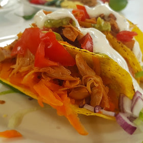 Vegalish Shredded Salsa Jackfruit