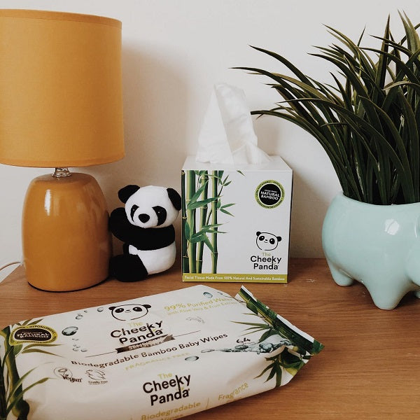 The Cheeky Panda Sustainable Bamboo Cube Of Facial Tissues