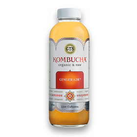 GT's Organic & Raw Gingerade Kombucha 473ml (12pk)