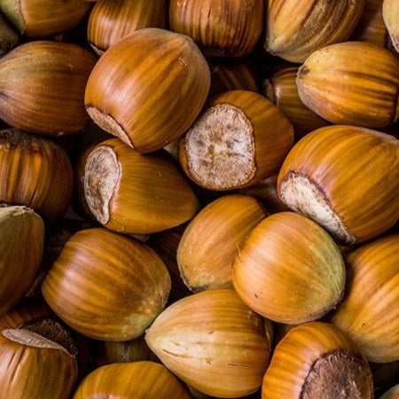 Booja Booja Hazelnut Chocolate Truffles 104g